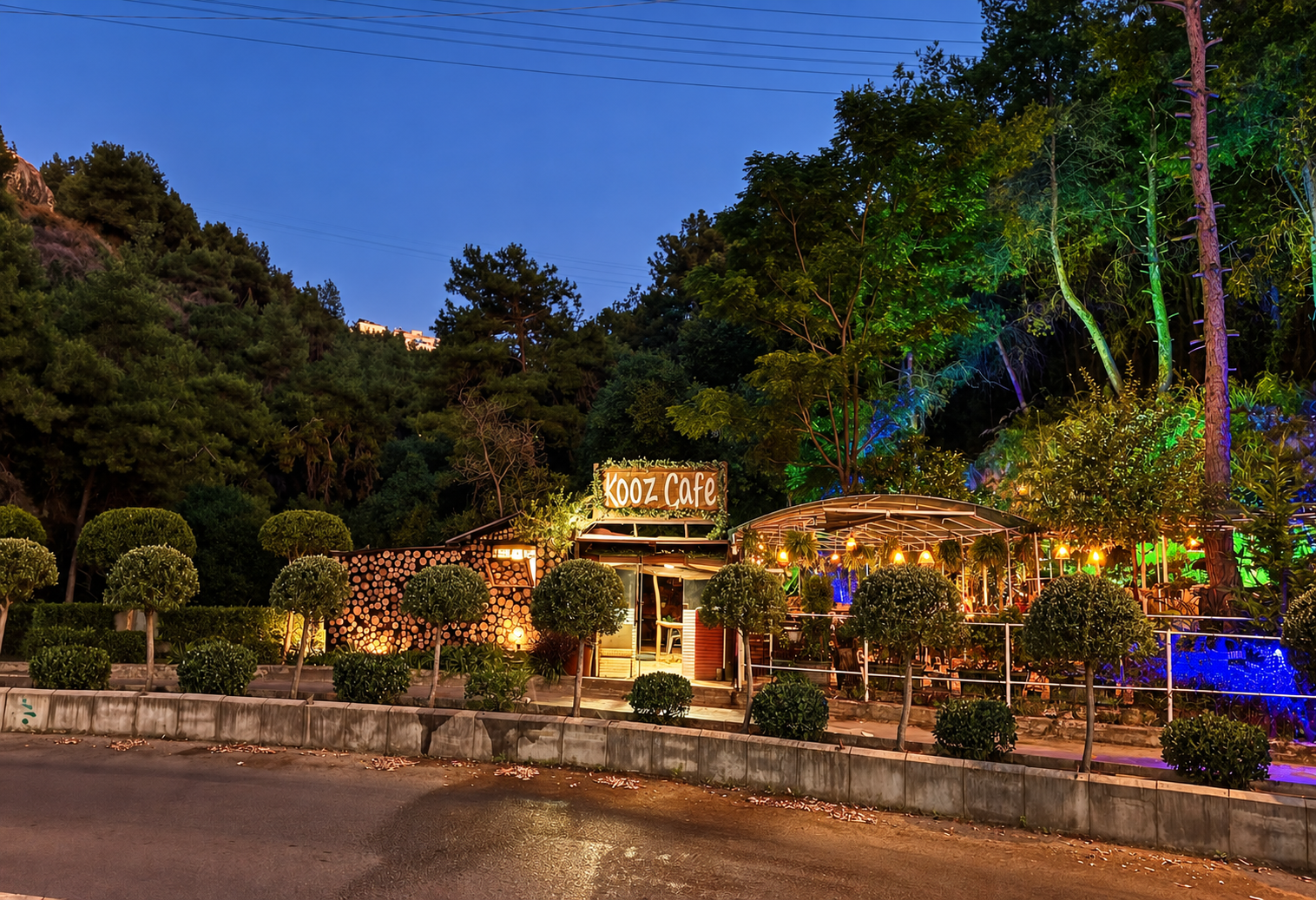 Kooz Café entrance surrounded by trees and garden lighting