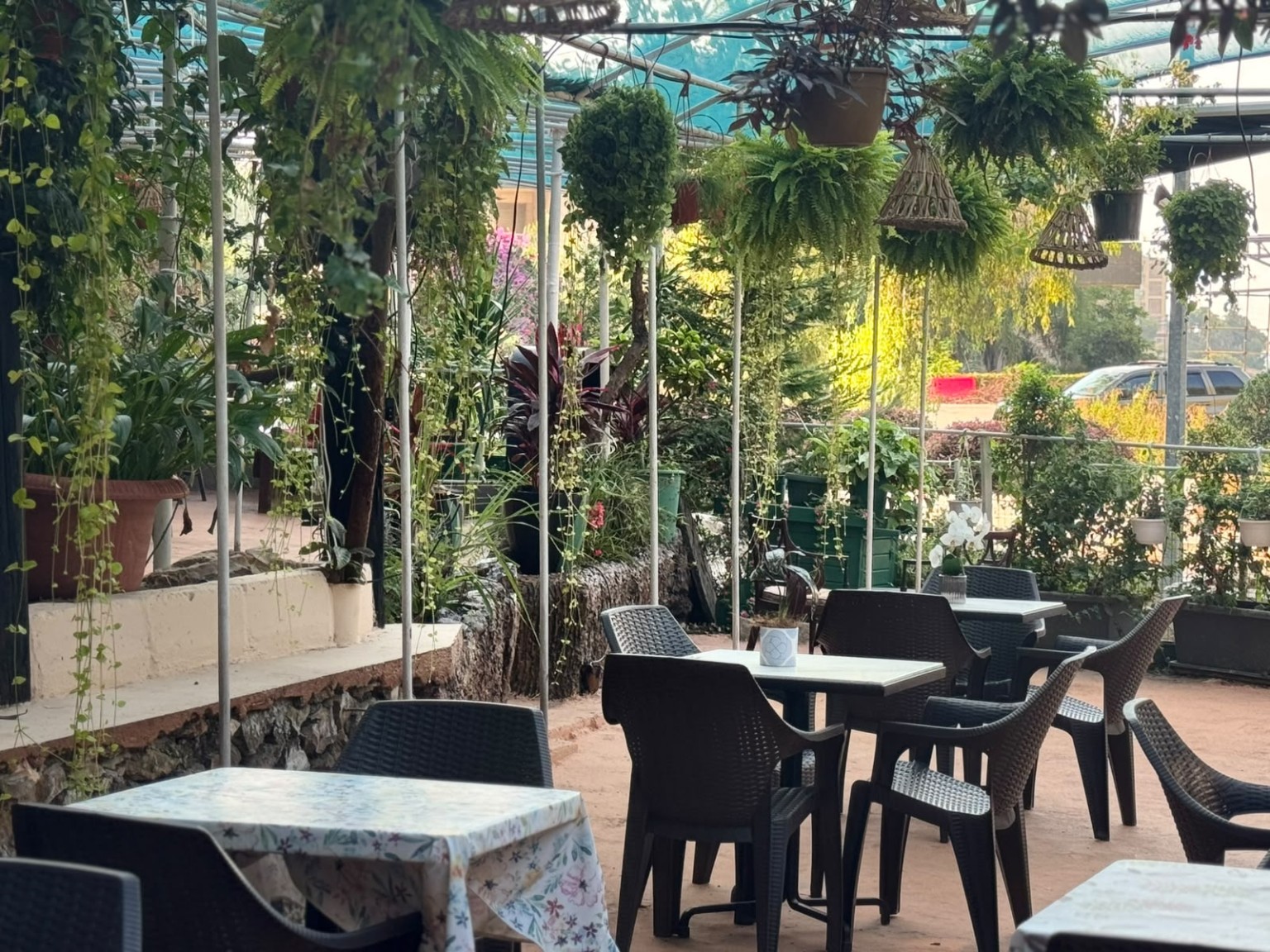 Garden seating surrounded by hanging ferns and leafy plants